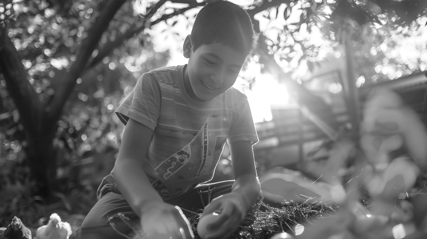 Login to Zippy Panda